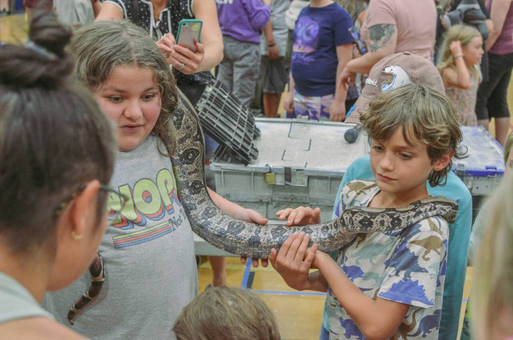 Sequim Gazette photo by Elijah Sussman / Fano Tofaeono (left) and Kallan Niclas with constrictor on June 25.