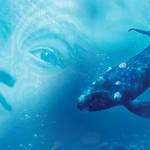 Photos courtesy of Skwim Toastmasters Club / Learn about how champion speakers are coached at the July 30 Skwim Toastmasters Club, held both in person and online. Guest coaches include Nitay-Yair Levi (top left) and Alexandre Matte (top right), with district winners Fusey Gotuaco (bottom left) and Karen Gardner receiving coaching.
Artwork courtesy of Port Townsend Film Festival / See a free screening of Whale Rider on Aug. 10. at the Backyard Movies at the Fort held at Fort Worden State Park in Port Townsend.