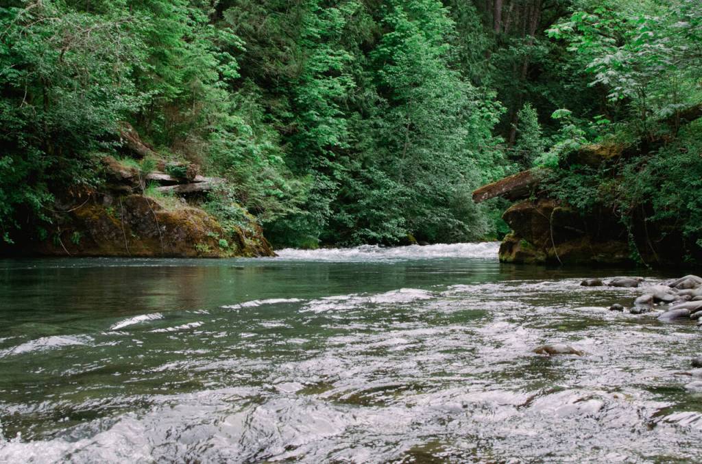 Sequim Gazette photo by Elijah Sussman / The Dungeness River running through the rocks that once supported Clink Bridge.