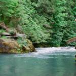 Sequim Gazette photo by Elijah Sussman / David Brownell points to the old bridge that once stretched across the Dungeness.
