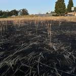 Sequim Gazette photo by Matthew Nash
Firefighters extinguished a fire on West Hemlock Street late on July 5 that bystanders said was started by someone throwing a firework from a vehicle into the field.