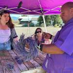 Sequim Gazette photo by Matthew Nash/ Sergio Gonzalez of Melis Lavender Farm helps Morgan Wilson of Lacey and Jolene Wilson of Birmingham, Ala., make lavender wreaths on July 20. Morgan said she recently moved to Washington and had read about Sequims lavender and it put it on her calendar to visit.