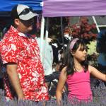 Delene Serna, 9, of Bremerton, inspects a lavender stem before bunching it with her lavender bundle shes making with her dad Osvaldo at Melis Lavender Farm.