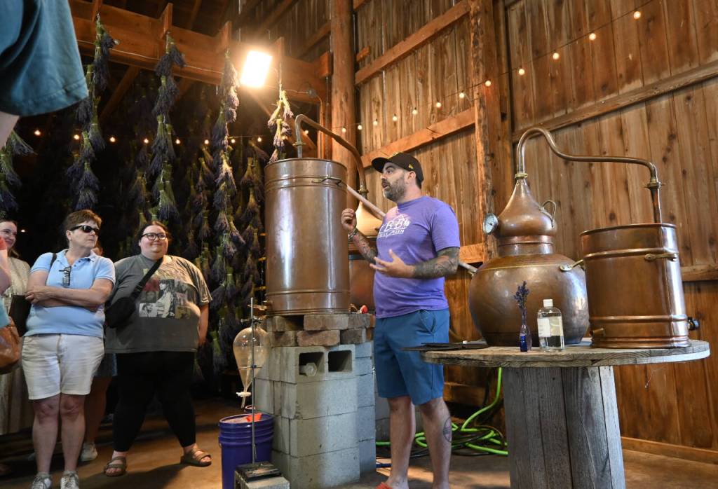 Sequim Gazette photo by Michael Dashiell / B&B Family Farm co-owner Zion Hilliker explains production of the farms products to visitors during Lavender Weekend on July 20.