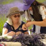 Sequim Gazette photo by Michael Dashiell / Susan Fuller of Sequim gets some tips on making a lavender wand from Kailah Blake at Jardin du Soliel Lavender Farm & Gift Shop on July 19.