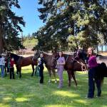 Photos by Katie Salmon-Newton
Above: Performance High Point winners at the Neon Riders and Silver Spurs 4H Horse Show held earlier this month include (from left): Intermediate Champion Kenzi Winters; Walk/Trot Champion Gwen Torey; Intermediate Reserve Champions Paisley Morris and Elise Sirguy; Walk/Trot Reserve Champions Abigail Daly and Adley Church; Novice Champion Madalyn Loukes, and Senior Champion Katelyn Sharpe. Not pictured is Senior Reserve Champion Rae Skerbeck.