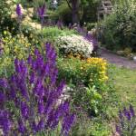 Photo by Cathy Wagner
Community members are welcome to enjoy a Walk-About at the Woodcock Demonstration Garden on Aug. 1.