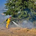 Photo by Jay Cline/Clallam 2 Fire-Rescue / A Clallam County FIre DIstrict 3 (Sequim) firefighter helps extinguish a b brush fire that scorched about 5 acres of wildland west of Port Angeles on July 22.
