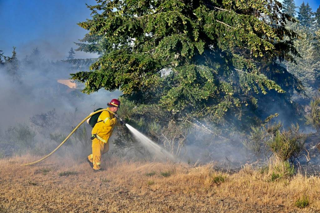 Photo by Jay Cline/Clallam 2 Fire-Rescue / A Clallam County FIre DIstrict 3 (Sequim) firefighter helps extinguish a b brush fire that scorched about 5 acres of wildland west of Port Angeles on July 22.