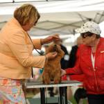 Sequim Gazette photo by Michael Dashiell