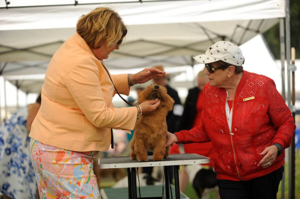 Sequim Gazette photo by Michael Dashiell