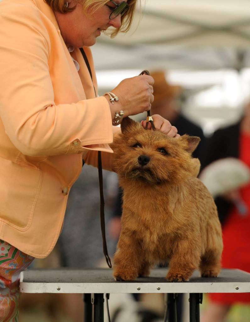 Sequim Gazette photo by Michael Dashiell