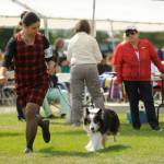 Sequim Gazette photo by Michael Dashiell