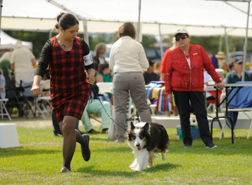 Sequim Gazette photo by Michael Dashiell