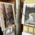 Sequim Gazette photo by Matthew Nash/ Historic local photos are for sale as postcards in the Carlsborg Store.