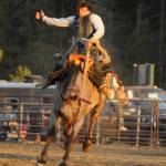 Sequim Gazette file photo by Michael Dashiell / Jacob Phillips of Chiloquin, Ore., looks to stay aboard Nightwatch at the Clallam County Fair rodeo in 2023.
