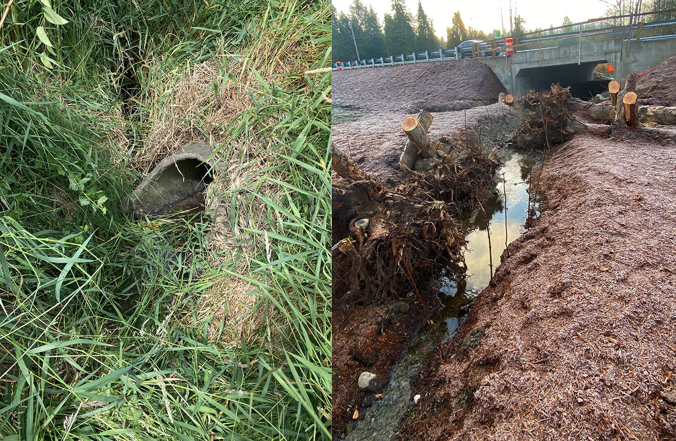 Photo courtesy of Washington State Department of Transportation / Before and after photos show work that removed barriers to fish. Eagle Creek, left, had been carried under the highway in a culvert that didnt meet the needs of fish. Workers rebuilt the culvert, right, to be wider and taller to remove the barrier to fish.