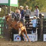 Sequim Gazette photo by Michael Dashiell / Chache Hill of St. Anthony, Idaho, holds on for a big score in the bareback riding competition at the Clallam County Fair Rodeo on Aug. 16. Hill tied for second palce.