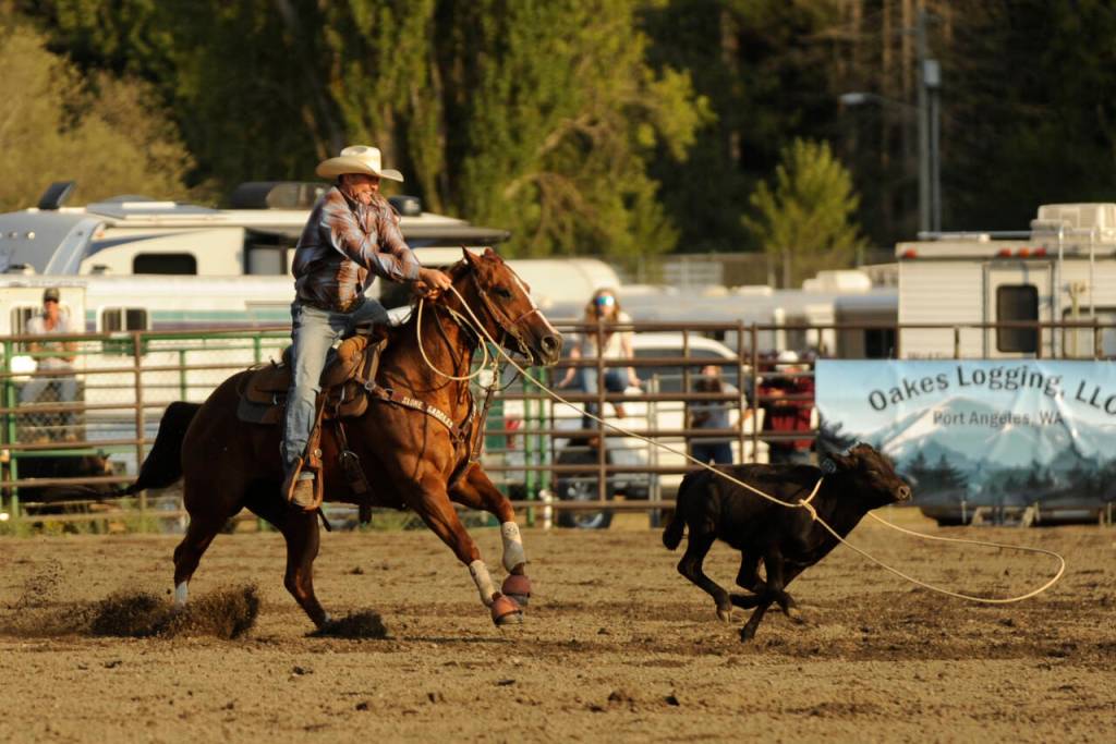 Sequim Gazette photo by Michael Dashiell / Chad Finley of Mount Vernon nabs his calf in the tie down roping competition at the Clallam County Fair Rodeo on Aug. 16.