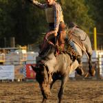 Sequim Gazette photo by Michael Dashiell / Joseph Wahl of Chehalis holds on for a big score in the saddle bronc riding portion of the Clallam County Fair Rodeo on Aug. 16. Wahl placed third.