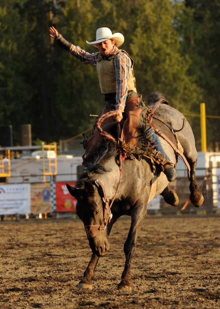 Sequim Gazette photo by Michael Dashiell / Joseph Wahl of Chehalis holds on for a big score in the saddle bronc riding portion of the Clallam County Fair Rodeo on Aug. 16. Wahl placed third.