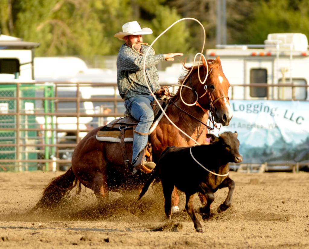 Sequim Gazette photo by Michael Dashiell / Luke Neathery of Powell Butte, Oregon, ropes his calf in the tie down roping competition at the Clallam County Fair Rodeo on Aug. 16.
