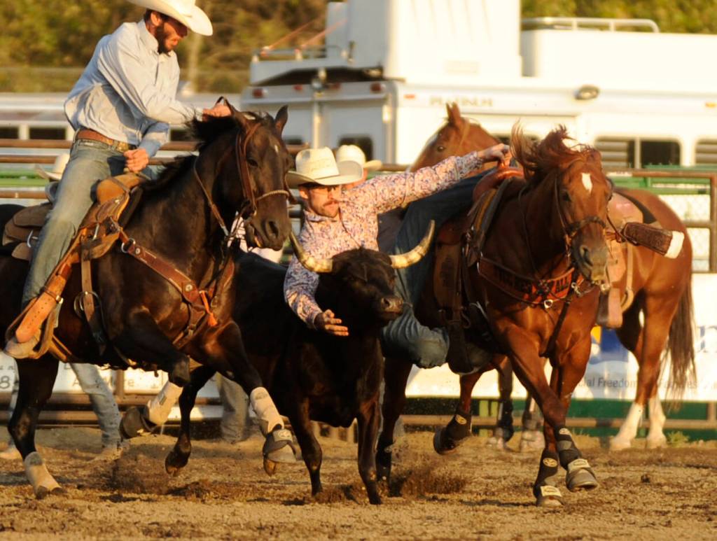 Samuel Mundell of Kingston competes in the steer wrestling portion of the Clallam County Fair Rodeo on Aug. 16.