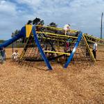 Sequim Gazette photo by Matthew Nash/ Helen Haller Elementarys Crab Trap playground equipment features several climbing and exploration opportunities for children.