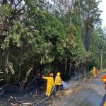 Photo courtesy Clallam County Fire District 3
Firefighters extinguish a fire along U.S. Highway 101 on Aug. 17 that caused traffic to be detoured.