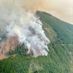 Photo courtesy of Department of Natural Resources / An aerial view of the 2620 Road fire near Brinnon.