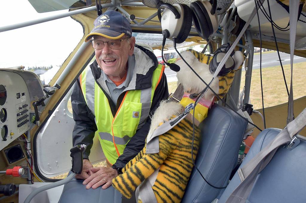 Photo by Keith Thorpe/Olymic Peninsula News Group / Ray Ballantyne of Sequim straps a stuffed tiger into the passenger seat of his 2000 Glastar GS-1 experimental aircraft at the Olympic Peninsula Air Affaire on Aug. 24 at Sequim Valley Airport. The tiger is in honor of Gilmore the flying lion, who flew with aviator Colonel Roscoe Turner in the 1930s as an advertising promotion.