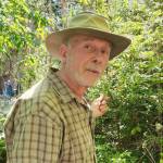 Photo courtesy of Ron Sikes / Ron Sikes will talk about using native plants to create bird-friendly habitats. at the Backyard Birding series event on Sept. 7.