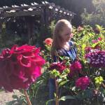 Photo by Cathy Wagner
A visitor enjoys the dahlias at the Master Gardeners Woodcock Demonstration Garden in Sequim. Explore the garden on Sept. 12 during a free walk-about event.