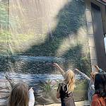 Sequim Gazette file photo by Matthew Nash/ Students look for hidden animals in a Tim Quinn mural on the side of the Dungeness River Nature Center at last years Dungeness River Festival. This year, another 500 students are anticipated to travel to the festival on Sept. 27.