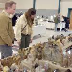 Photo by Keith Thorpe/Olympic Peninsula News Group
Jason Eason, left, and Amanda Krott, both of Bremerton, examine a collection of rocks and minerals on display by Rockin the Castle of Lebanon, Ore., during the Clallam County Gem and Mineral Association Gem, Rock and Jewelry Show at Vern Burton Community Center in Port Angeles on Sept. 21. The show featured a wide variety of exhibits as well as an area devoted to childrens activities.