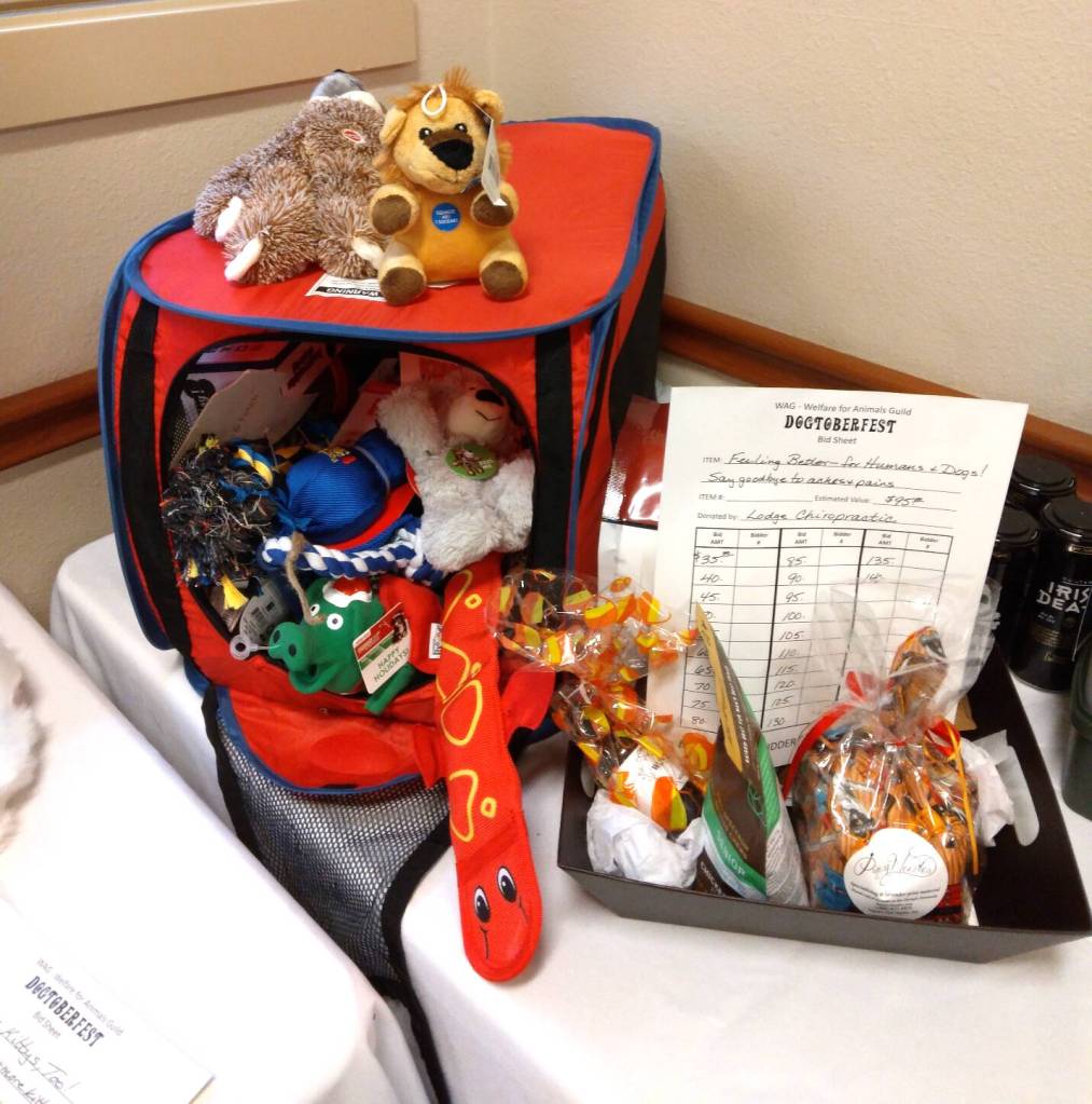 Photo courtesy of Welfare for Animals Guild / Items are on display at the Welfare for Animals Guild's 2023 Dogtoberfest event. This year's event is slated for Oct. 19.