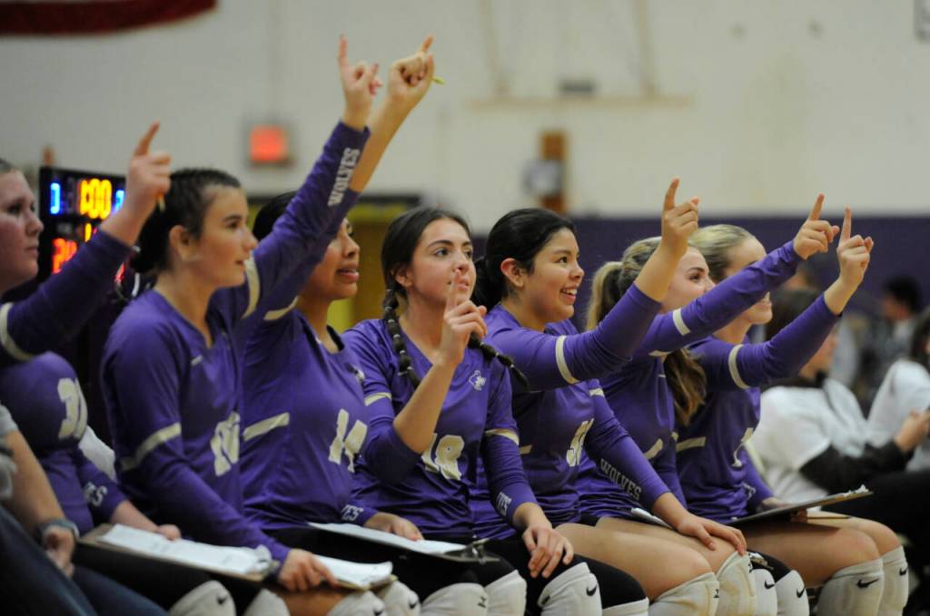 Sequim Gazette photo by Michael Dashiell / One point to go: Sequims bench signals the end of the match as the Wolves sweep rival Port Angeles at home on Sept. 26.