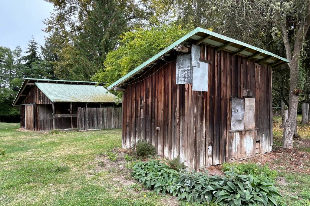 Sequim Gazette photo by Matthew Nash/ In 2006, Anton Toni and Rosa Gerhardt signed an agreement to give their property (now Gerhardt Park) to the City of Sequim after their deaths in exchange for a domestic water connection. They bought the property in 1973 and stipulated that the city must keep it as a park. Now city staff look to auction off an older home and outbuildings to make room for future park amenities.