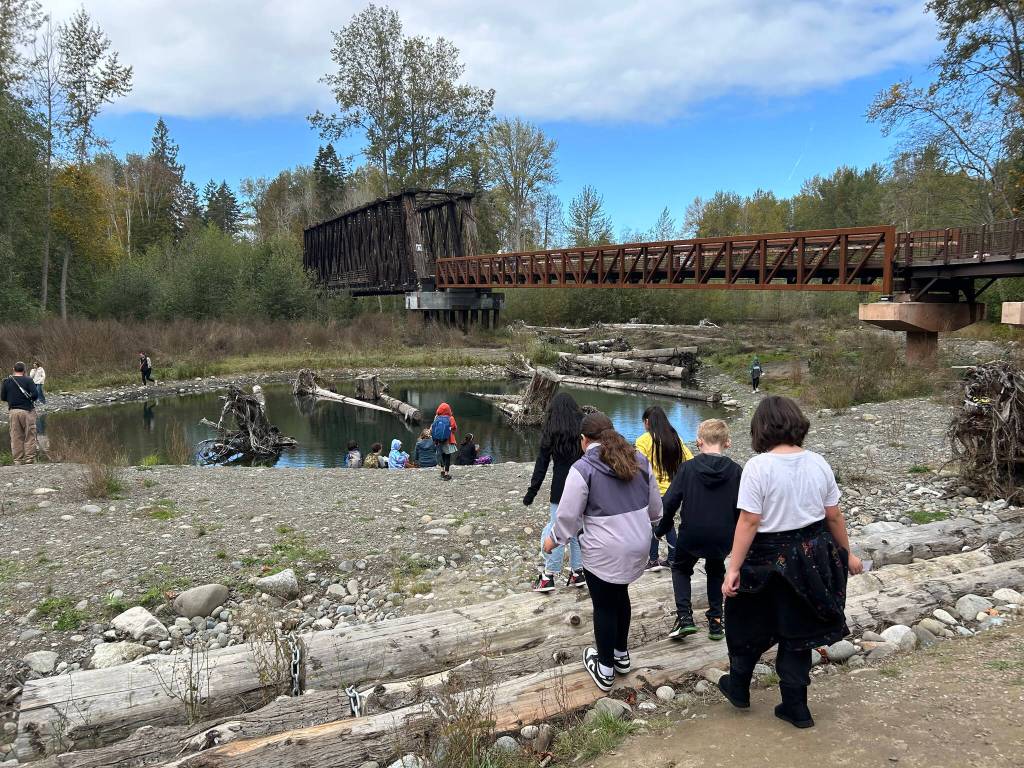 Students walk to the water below the Dungeness Railroad Bridge during the festival to look for local organisms.