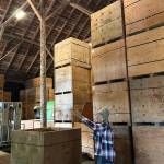 Sequim Gazette photo by Matthew Nash
Karen Huber, sister of Nash Huber the owner of Nashs Organic Produce, stands by large crates that hold various seeds that Nash sells to farmers. She said shes mitigated alleged violations and concerns from property owner Washington Land Trust, but the long-time farmer faces eviction from the property if he doesnt comply with ending his lease agreement that goes through 2032.