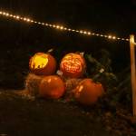 Photo by Matt Sagen/Cascadia Films
The Port Angeles Fine Arts Center hosts its annual Celebration of Shadows Fall Festival on Saturday, Oct. 19.