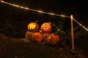 Photo by Matt Sagen/Cascadia Films
The Port Angeles Fine Arts Center hosts its annual Celebration of Shadows Fall Festival on Saturday, Oct. 19.