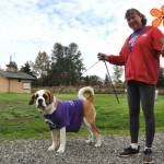 Sequim Gazette photo by Matthew Nash/