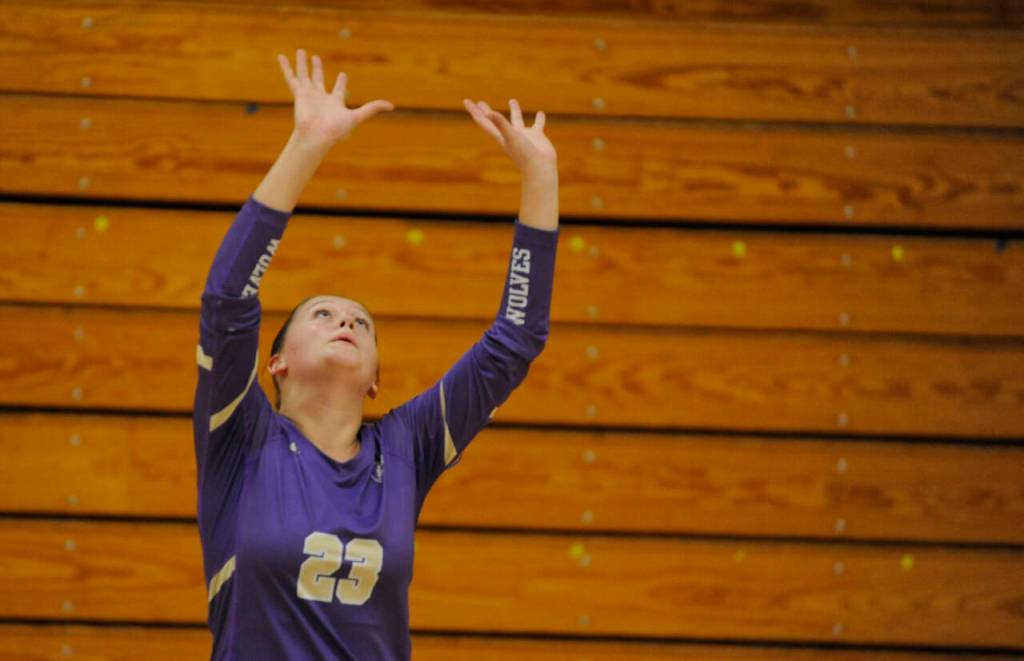 Sequim Gazette photo by Michael Dashiell / Sequim setter Kenzi Berglund keeps here eye on the ball in the third set of the Wolves 3-0 win over Kingston on Oct 8.