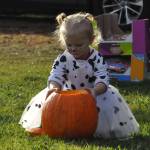 Sequim Gazette photo by Matthew Nash/ Amalia Hellwig, dressed as a dalmatian, inspects her pumpkin during the Sequim Prairie Granges Fall Festival and Trunk-or-Treat on Oct. 26.
Sequim Gazette photo by Matthew Nash/ Amalia Hellwig, dressed as a dalmatian, inspects her pumpkin during the Sequim Prairie Granges Fall Festival and Trunk-or-Treat on Oct. 26.