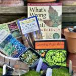 Photo by Susan Kalmar
Winter is the perfect time to snuggle in and bone up on gardening knowledge. Join Master Gardeners Susan Kalmar, Shelly Deisch and Jan Danford for the Green Thumb Education Series presentation Best Books for Gardeners  set for noon-1 p.m. Thursday, Nov. 14, at St. Andrews Episcopal Church, 510 E. Park Ave., Port Angeles .