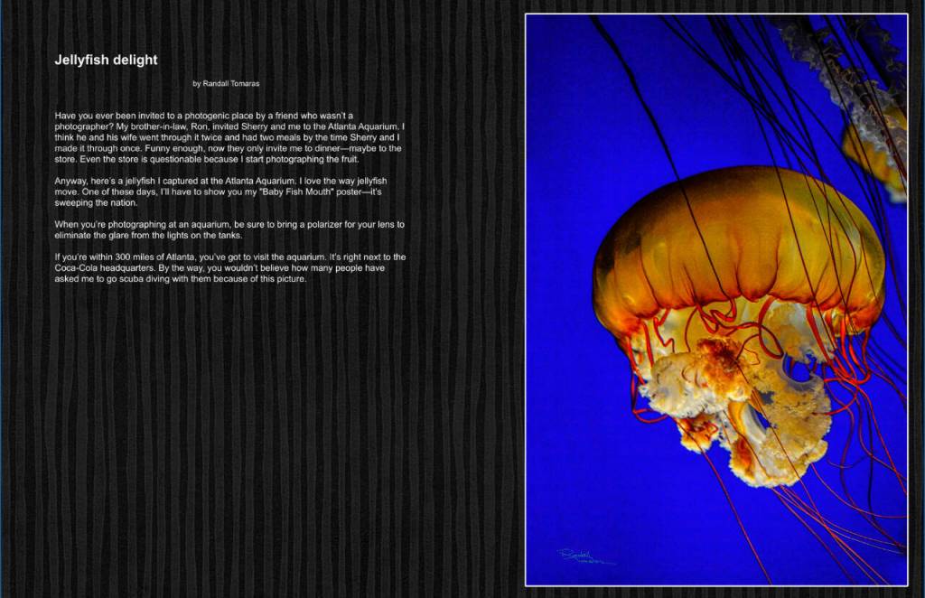 Graphic courtesy of Randall Tomaras /