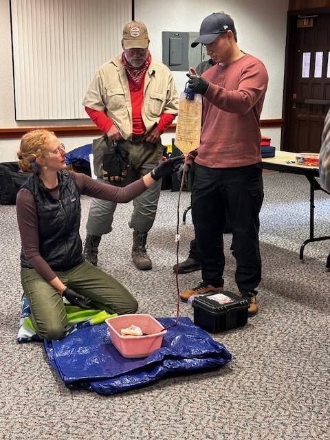 Photo courtesy of Clallam County Sheriffs Search and Rescue Team / Instructor April Grisetti of Peninsula Wild Med works with Clallam County Sheriffs Search and Rescue Team volunteers Parker Stoops, center, and Alex Serrato during a two-day Wilderness First Aid training course in early November.