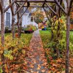 Photo courtesy Sue Bianchi
Nearby maple trees make Sequim Heritage House a must-see year-round.