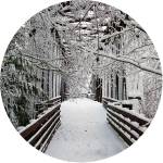 Photo courtesy Dungeness River Nature Center
At this years Holiday Nature Mart, Nov. 23-24, organizers introduce the first in a limited edition series of commemorative ornaments. This first ornament features a photo by Bob Boekelheide, former director of the center. Proceeds benefit the center.